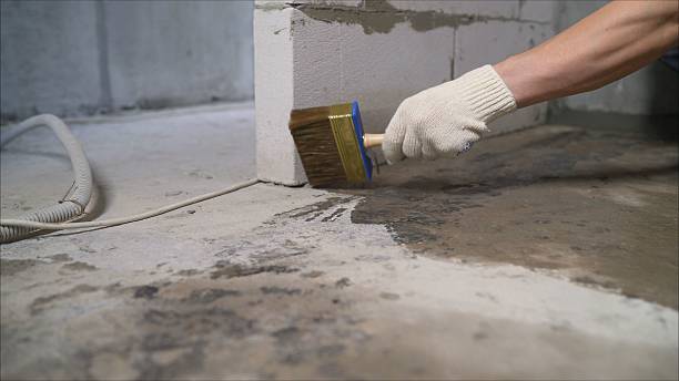 SJ Waterproofing Pros Waterproofing coverage map for Bellevue, WA and surrounding area